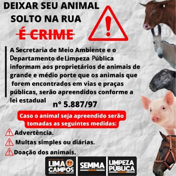 ATENÇÃO: DEIXAR SEU ANIMAL SOLTO NA RUA É CRIME