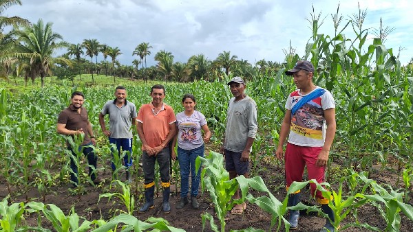 ASSISTÊNCIA TÉCNICA AOS PRODUTORES RURAIS